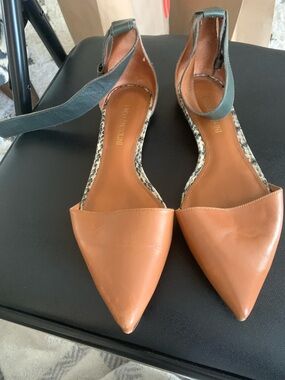 Pointy toe flat